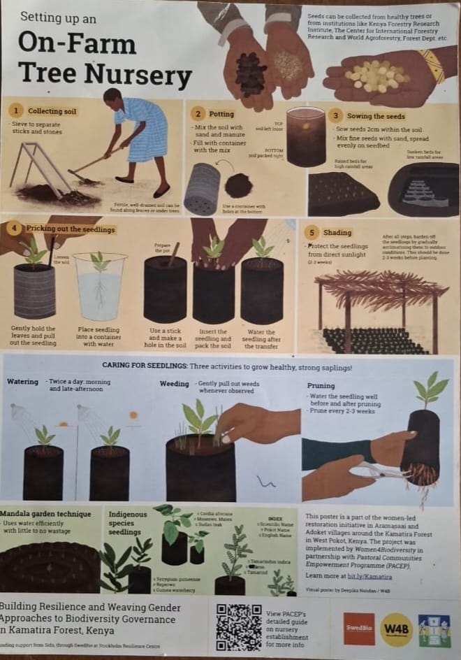 setting up an on farm tree nursery