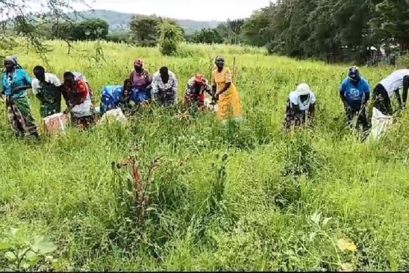 REVITALIZATION OF TRADITIONAL FOOD SYSTEM
